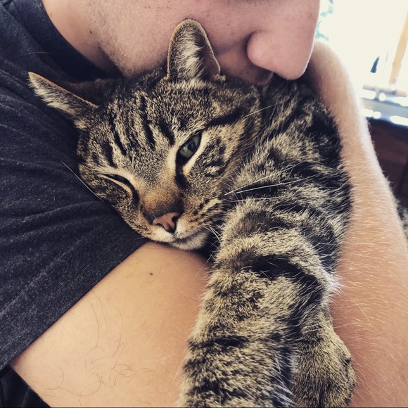 Meet your Posher, Terri - Picture 13 of 16